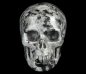 Preview: Skull Larvikite